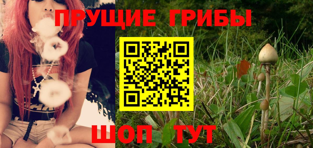 Псилоцибиновые грибы прущие грибы  Вход с VPN  Великий Новгород 